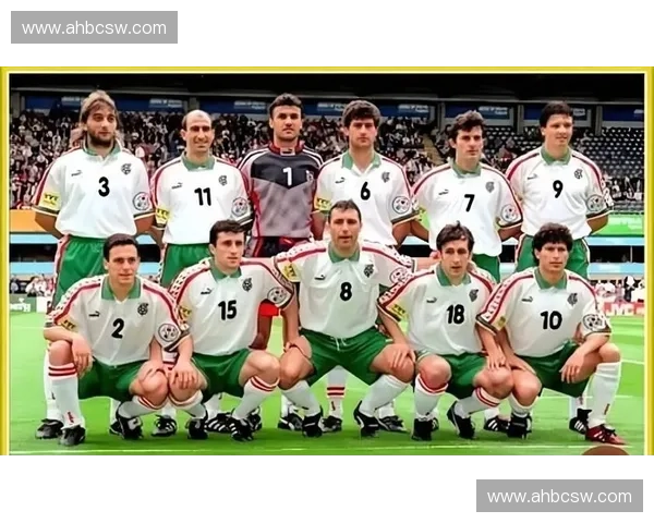 重温2014世界杯十大精彩进球见证激情与荣耀交织的绿茵瞬间 重温2014世界杯十大精彩进球见证激情与荣耀交织的绿茵瞬间